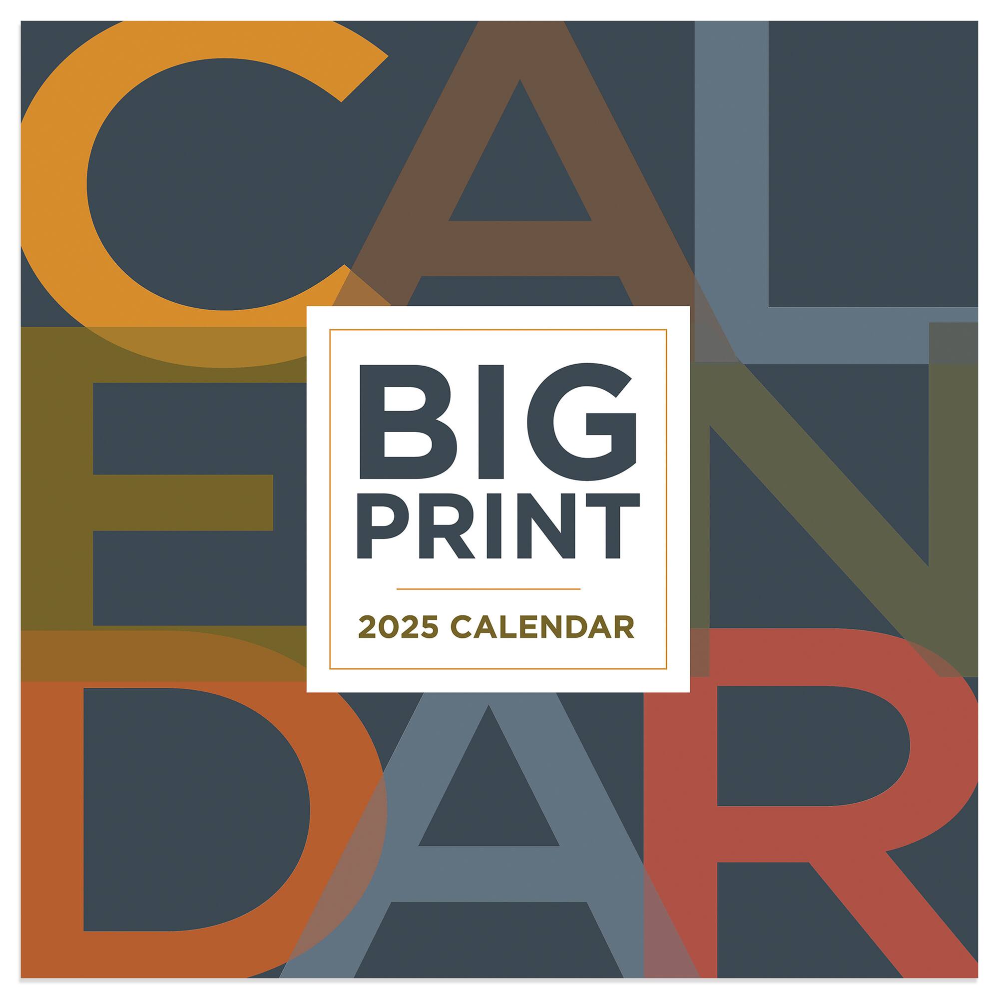 TF Publishing 2025 Big Print Mini Calendar